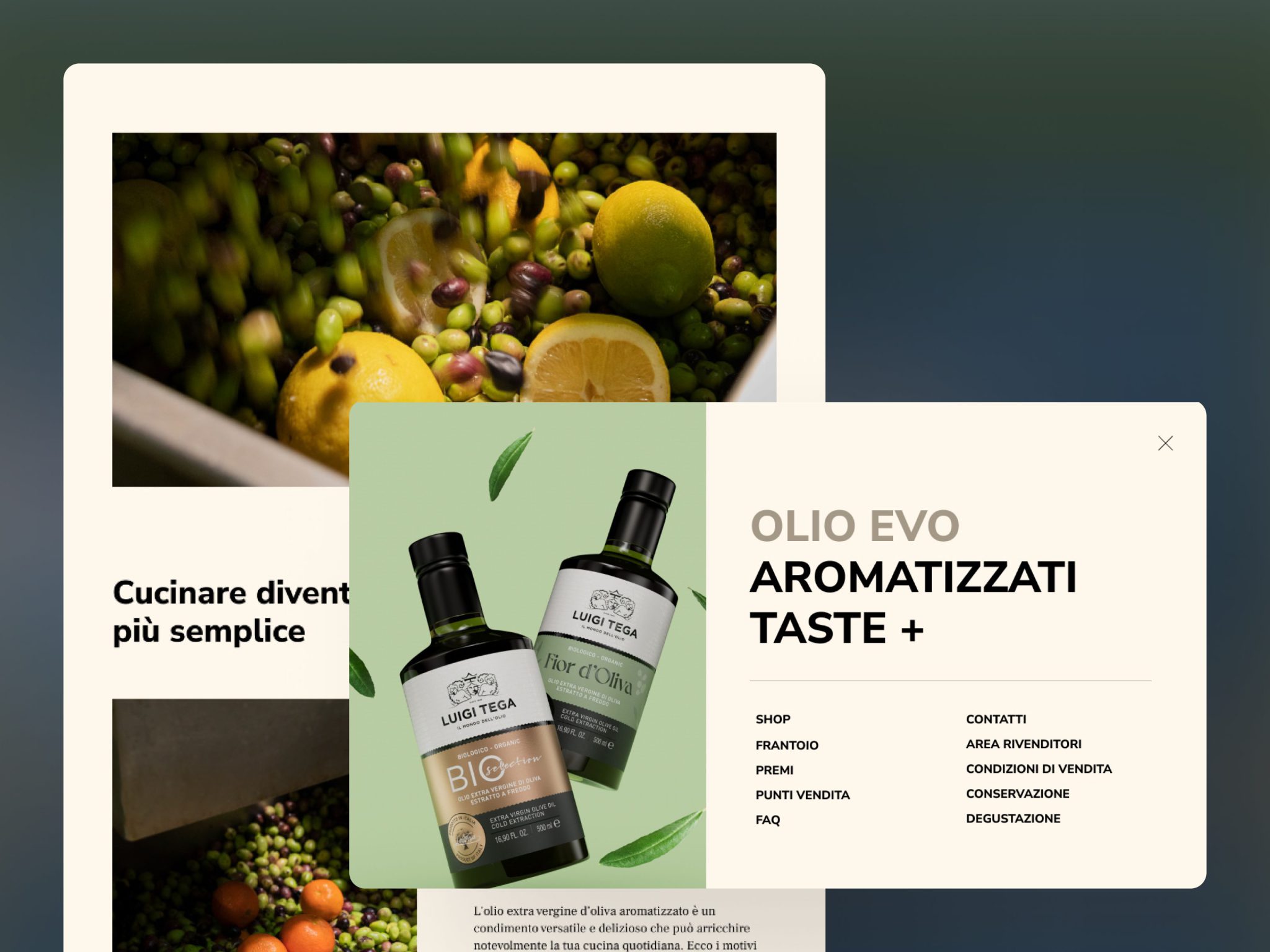 Olio Luigi Tega - ecommerce