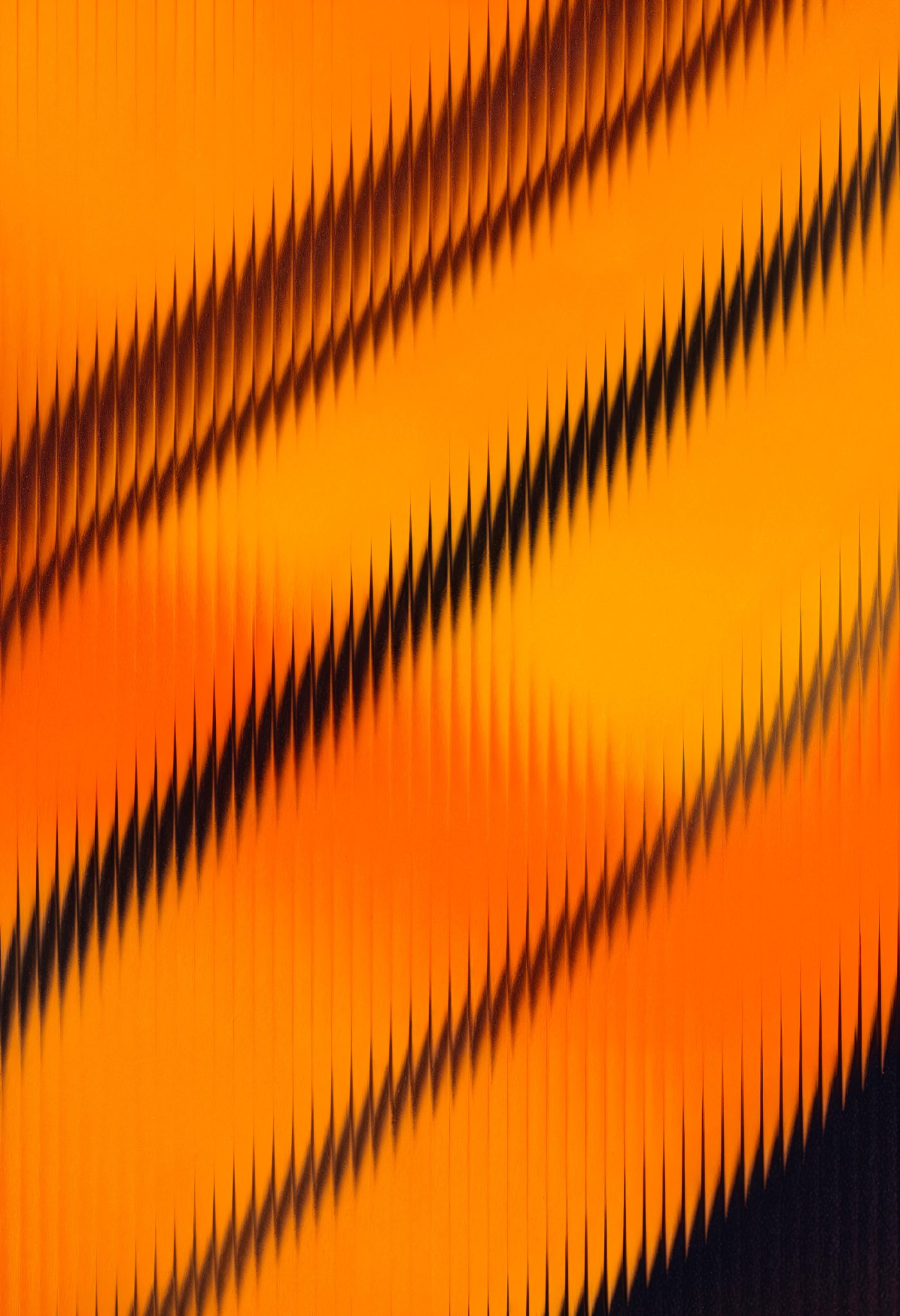 Chi Siamo — Newwave